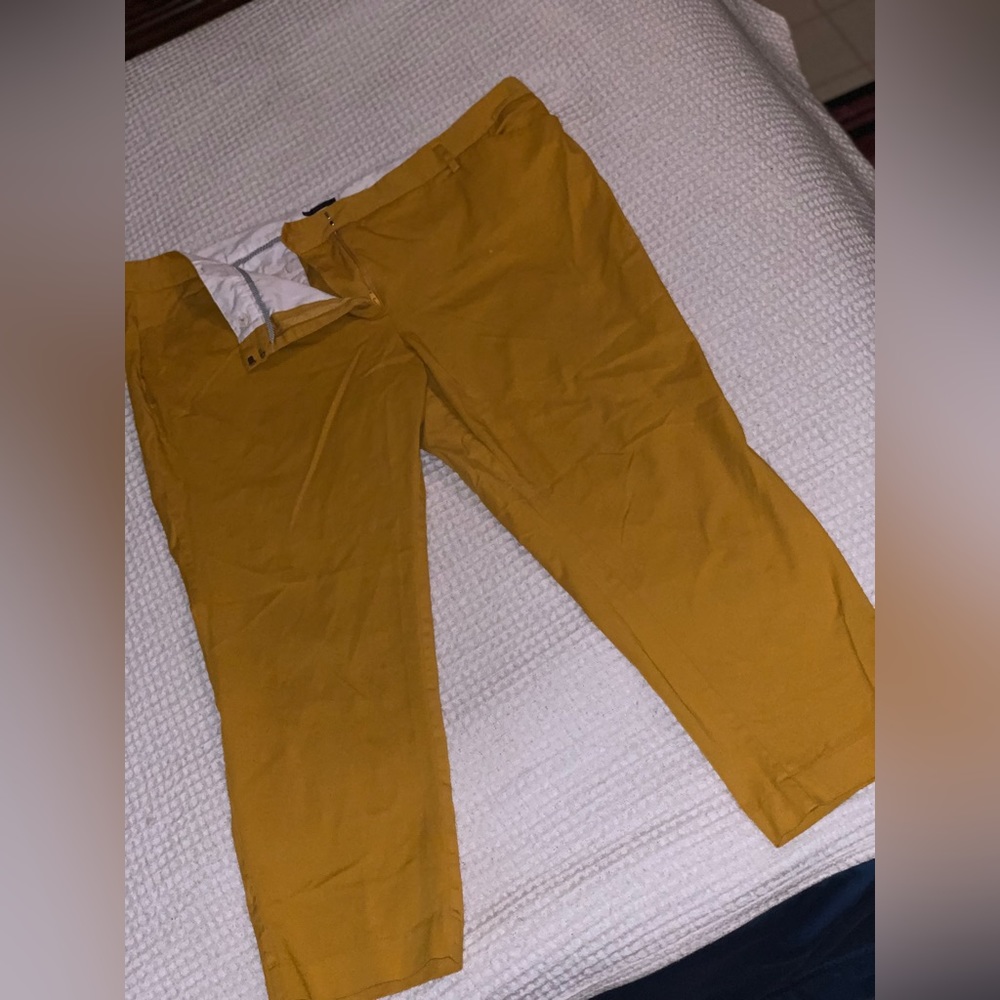 Dress pants